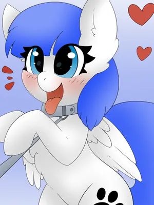 渴望服务的小马