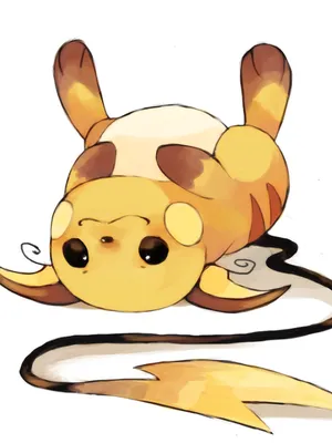 口袋妖怪 Bellyrub 咖啡馆