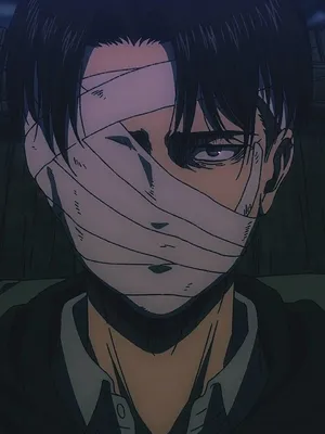 利维·阿克曼 |战后