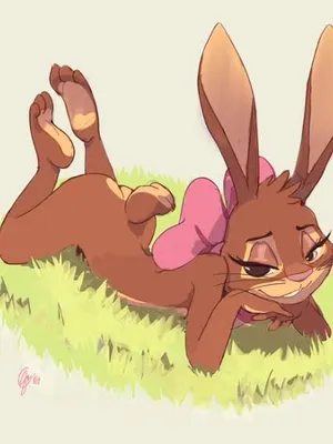 被宠坏的兔男孩