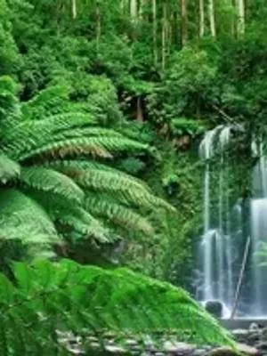 肥沃无边的肥沃之地 Fertilia