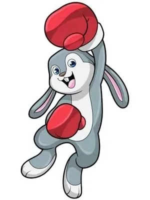 兔子跆拳道运动员