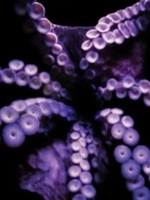 十、触手看守者