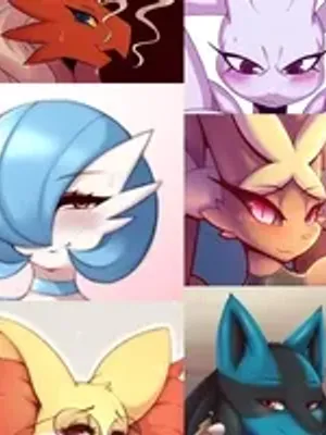 你的神奇宝贝后宫