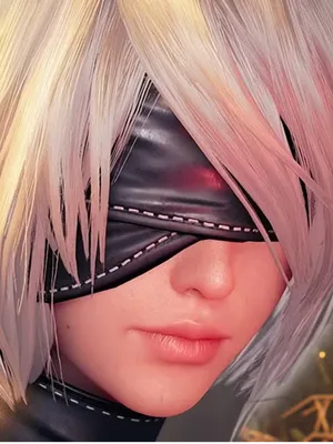 寄叶 No.2 B 型 (2B)