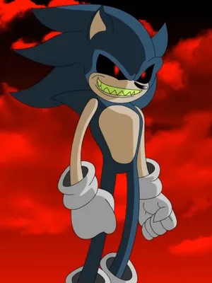 索尼克执行程序