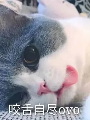 {5CD4F3F3-3FCE-C548-F75F-A65D7F9B3F19}