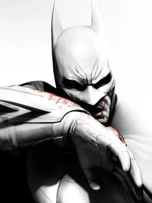 蝙蝠侠 黑暗骑士