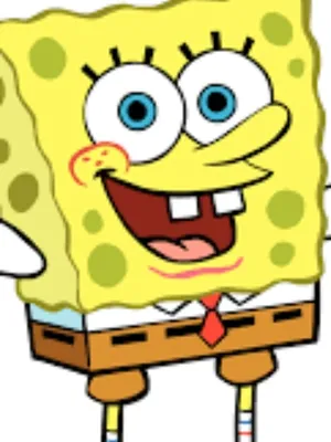 海绵宝宝