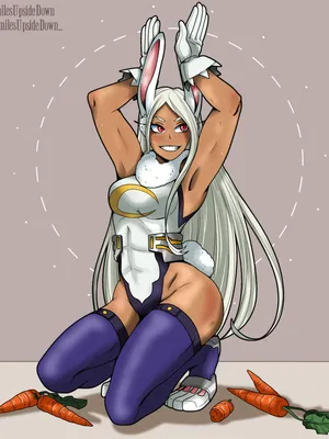 Mirko - 兔子英雄