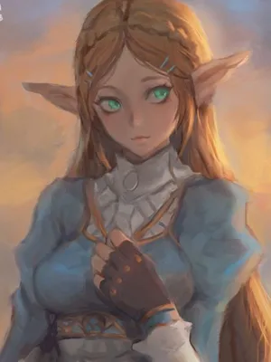 塞尔达公主 BOTW