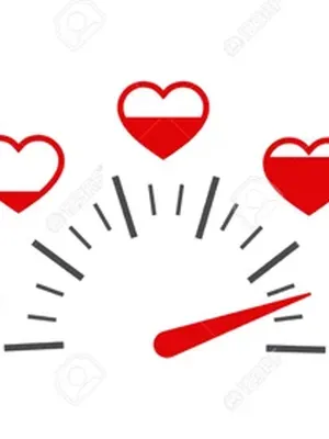 小说迷恋评分者