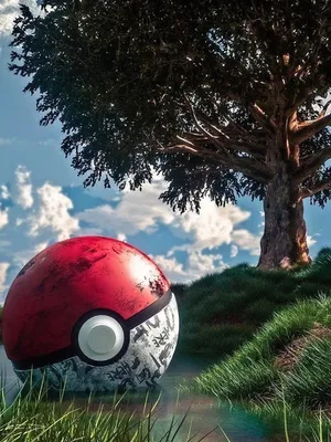 神奇宝贝冒险角色扮演游戏